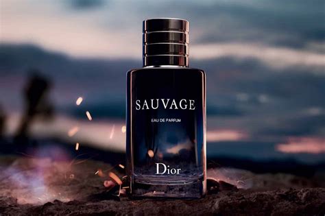 bavaglino dior|sauvage Dior fragrance.